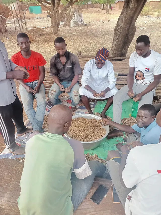 Shelled groundnuts